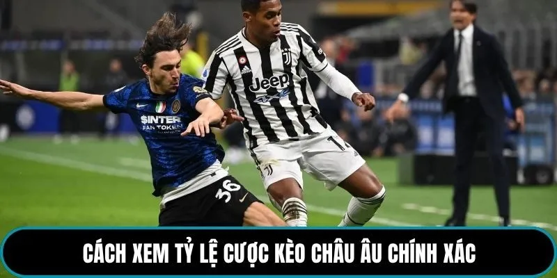 Cách xem tỷ lệ cược kèo Châu Âu chính xác