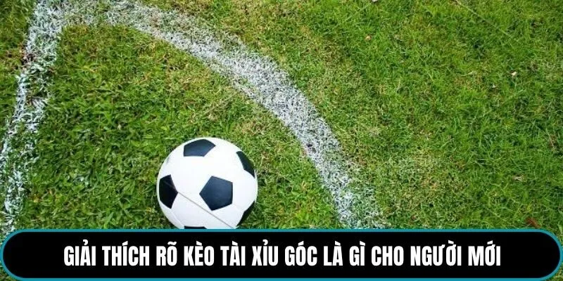 Giải thích rõ kèo Tài Xỉu góc là gì cho người mới