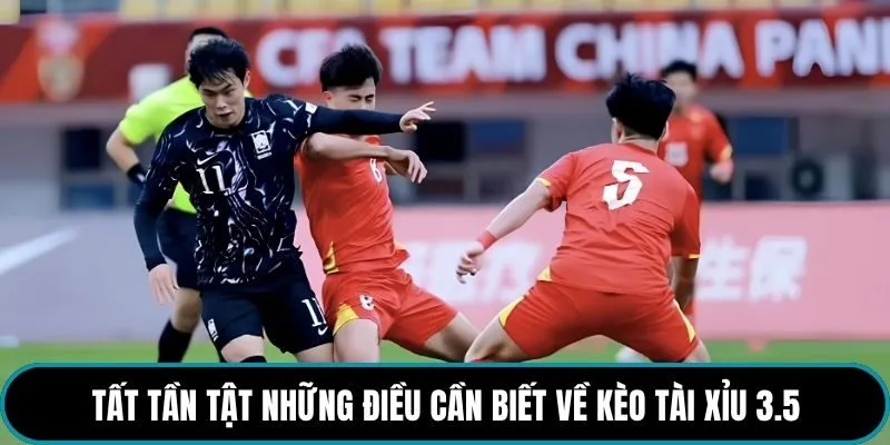 Tất tần tật những điều cần biết về kèo tài xỉu 3.5